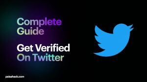 How to get verified on Twitter