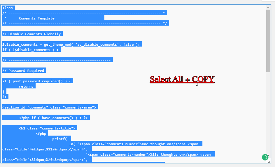 select all copy