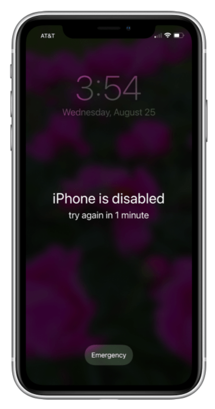 disable : How To Unlock Disabled iPhone