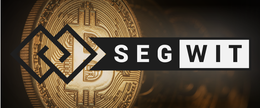 What Is SegWit
