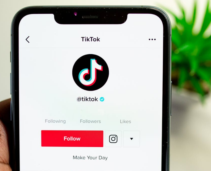 How To Find Someone On TikTok Without Username?-What Is The Username For In Tiktok.