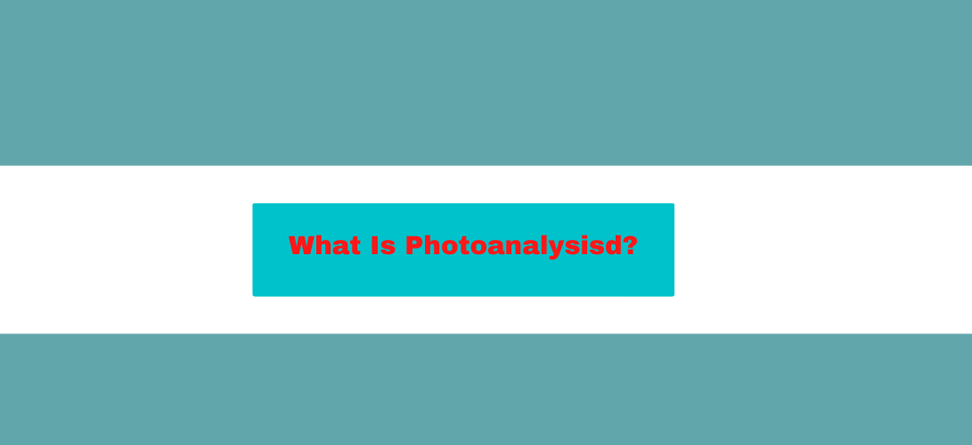 What Is Photoanalysisd