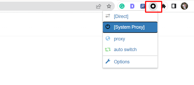 Click on the Proxy SwitchyOmega icon
