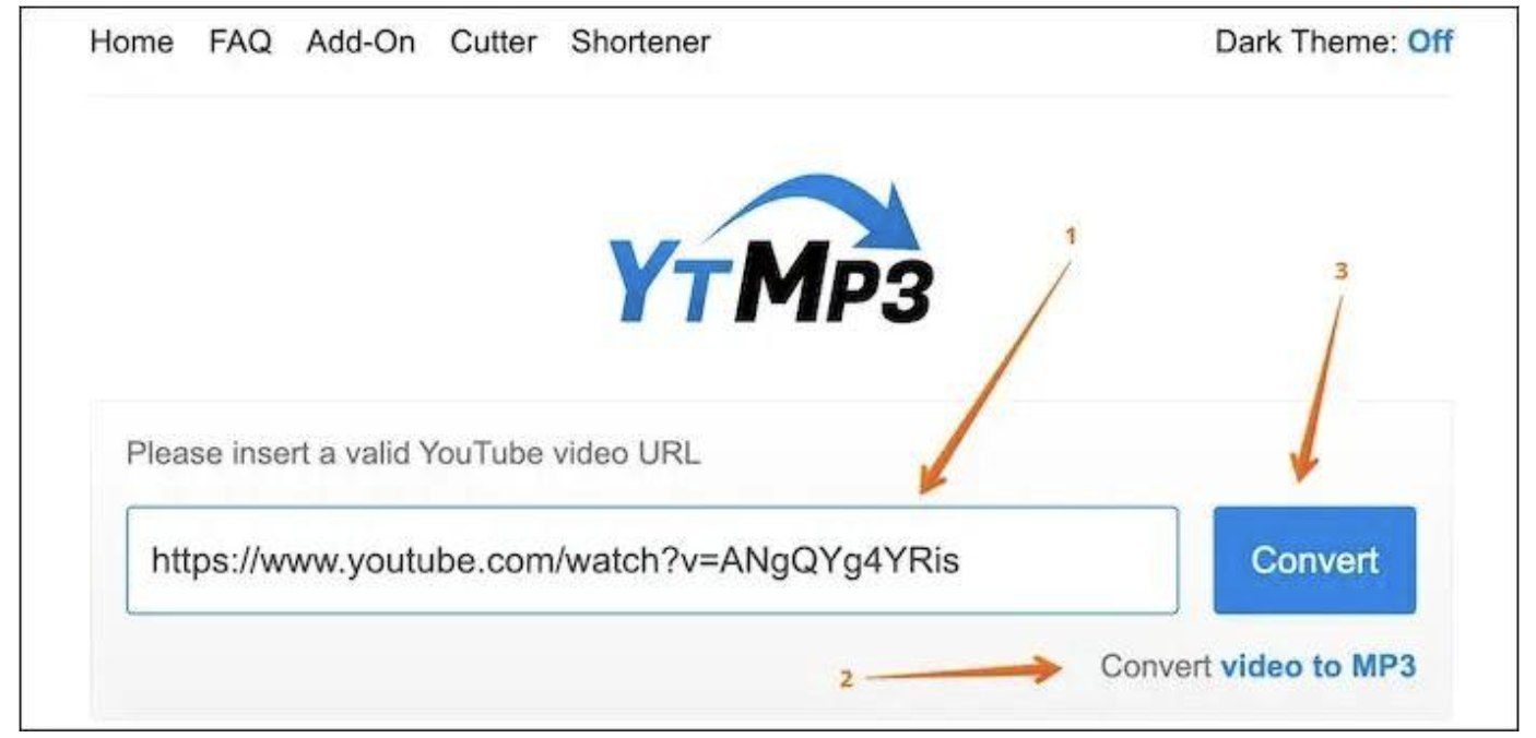 Paste the YouTube URL, and choose to convert
